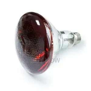 Heater Brooder Bulb
