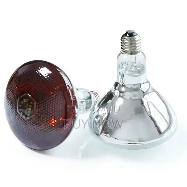 Heater Brooder Bulb
