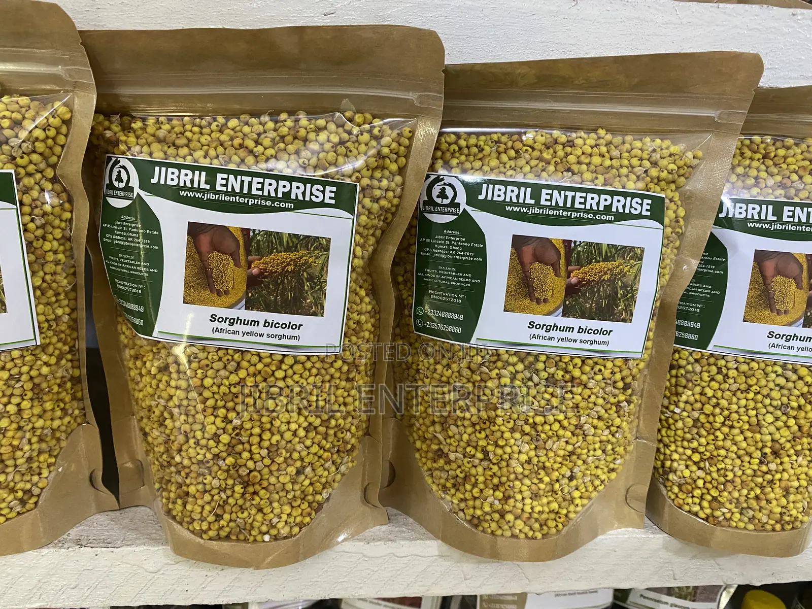 African Yellow Sorghum, Non Hybrid, Medium Yield Variety