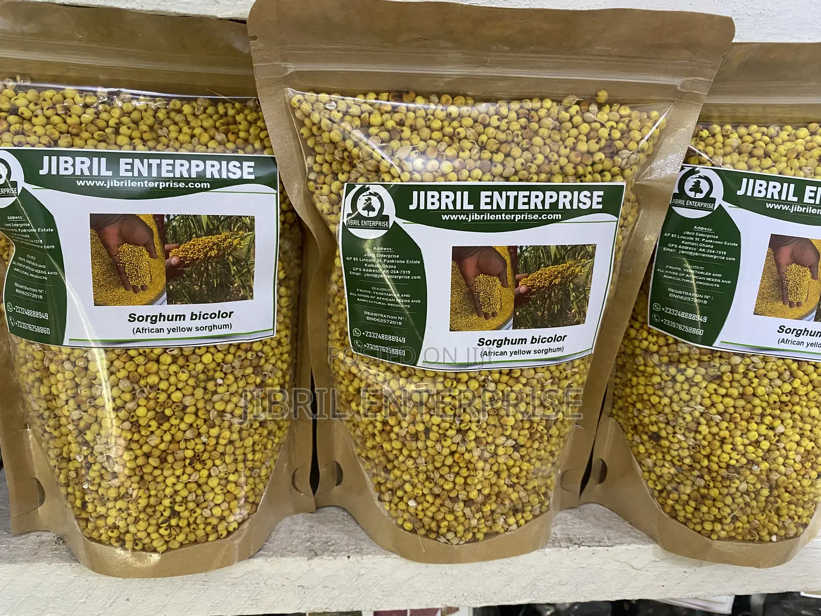 African Yellow Sorghum, Non Hybrid, Medium Yield Variety