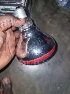 Heater Brooder Bulb