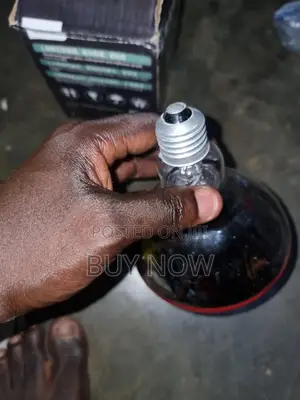 Heater Brooder Bulb