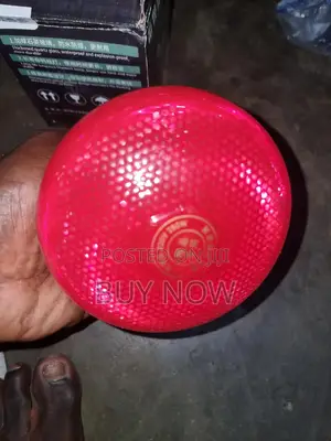 Heater Brooder Bulb