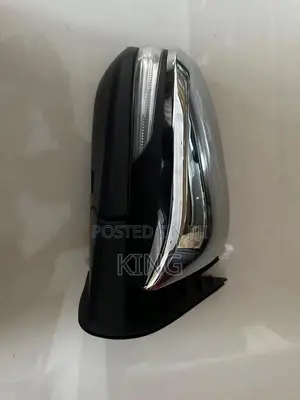 2017-2023 Toyota Hilux Side Mirror With Light and Fold