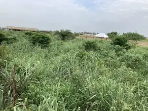 Well Two Fenced Two Plots for Sale at Sokoban,Duropem.