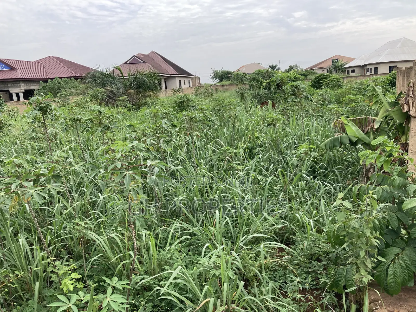 Well Two Fenced Two Plots for Sale at Sokoban,Duropem.