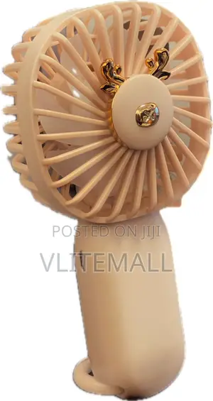 Handheld Electric Rechargeable Mini Fan (DD-5603)