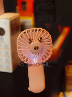 Handheld Electric Rechargeable Mini Fan (DD-5603)