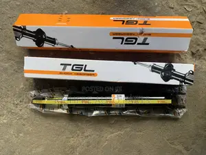 Hyundai Elantra 2008 Back Shocks