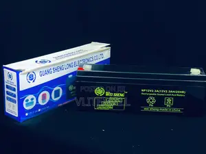 Wei Sheng 12v-2.3ah Battery