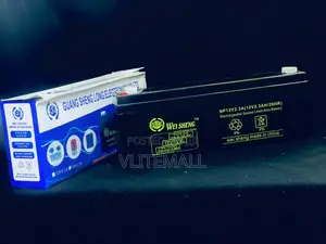 Wei Sheng 12v-2.3ah Battery