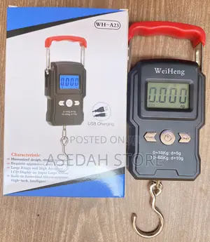 Portable Electric Luggage Scale 50kg
