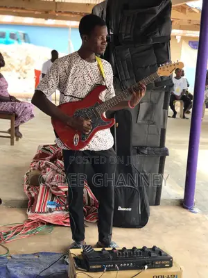 Professional Guitarist