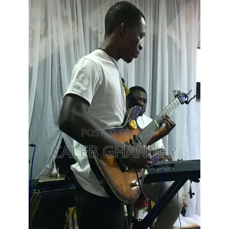 Professional Guitarist
