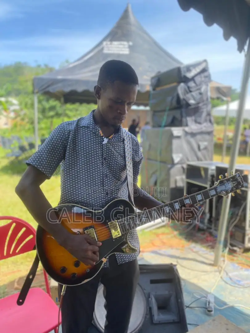 Professional Guitarist