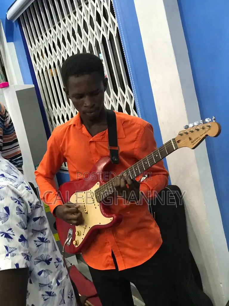 Professional Guitarist