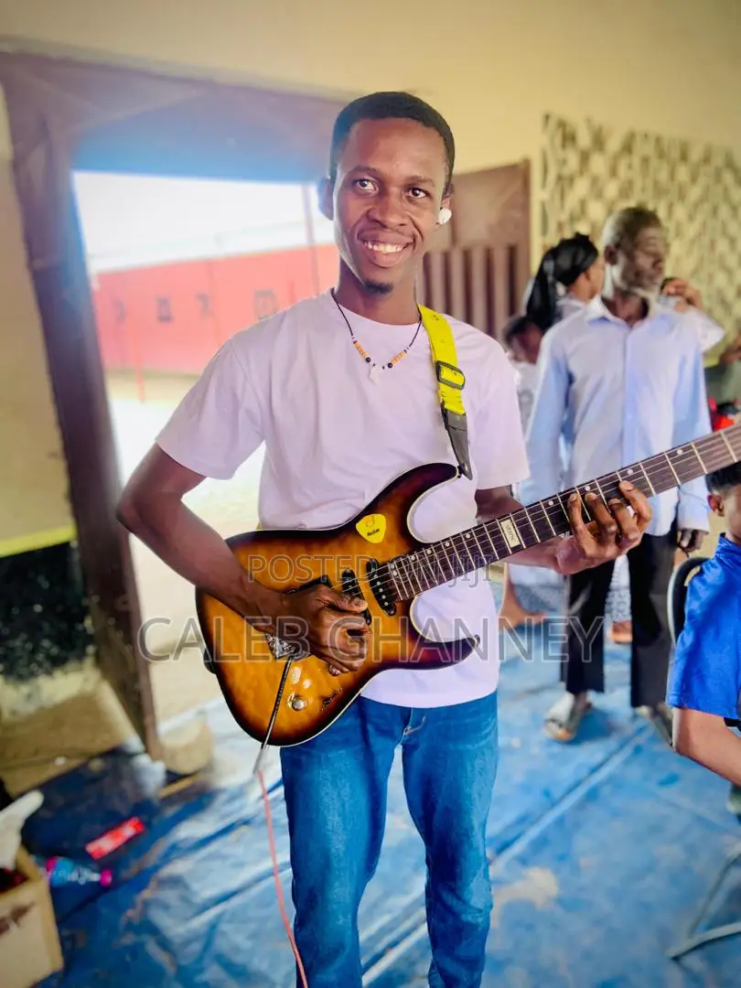 Professional Guitarist