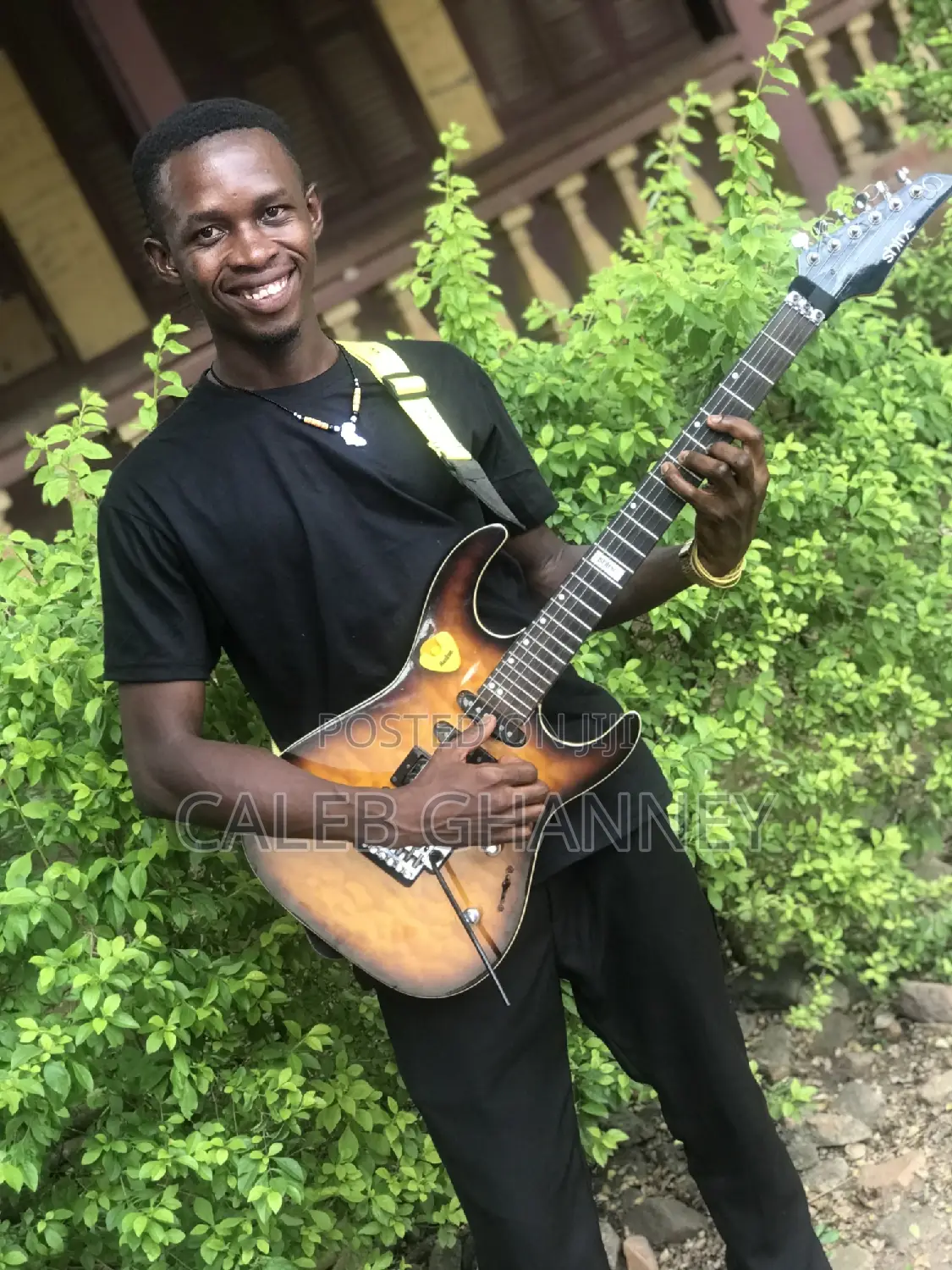 Professional Guitarist