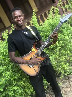 Professional Guitarist