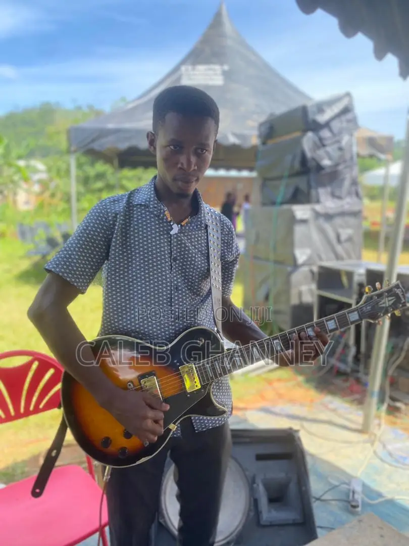 Professional Guitarist