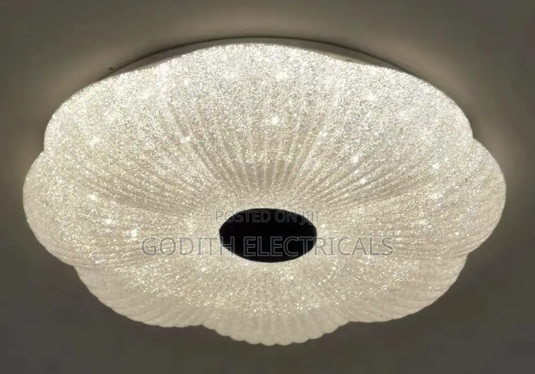 Led Ceiling Light
