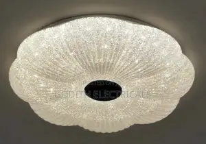 Led Ceiling Light