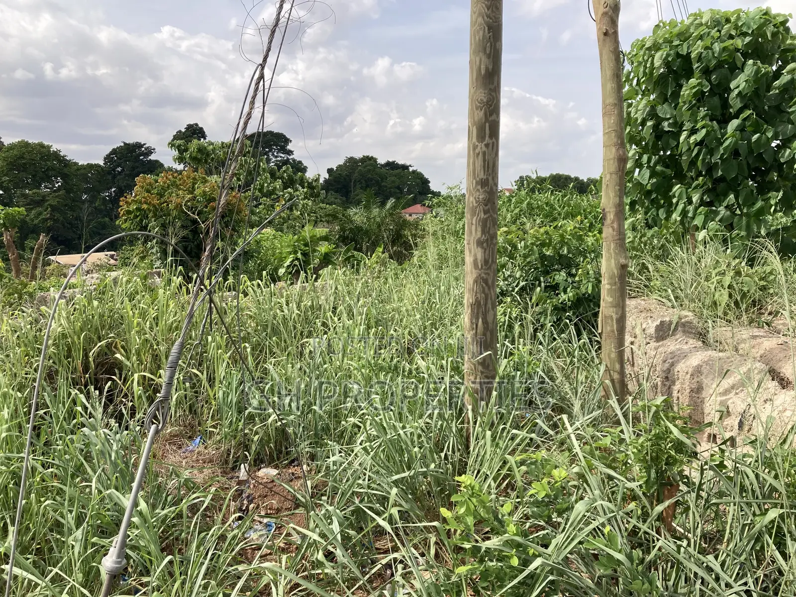 One Full Plot for Sale at Atasemanso.