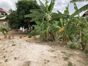4bdrm House in Agric Nzema., Kumasi Metropolitan for sale
