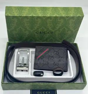 Gucci Belt and Wallet
