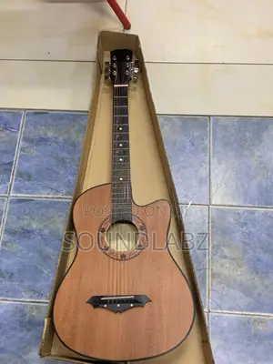 Professional Acoustic Guitar