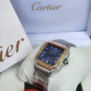 Santos De Cartier Watches