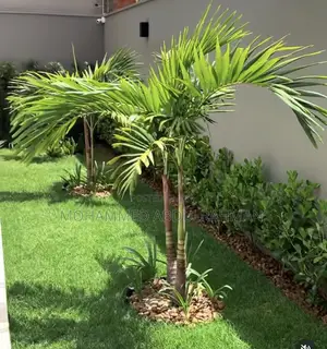 The Garden Designers