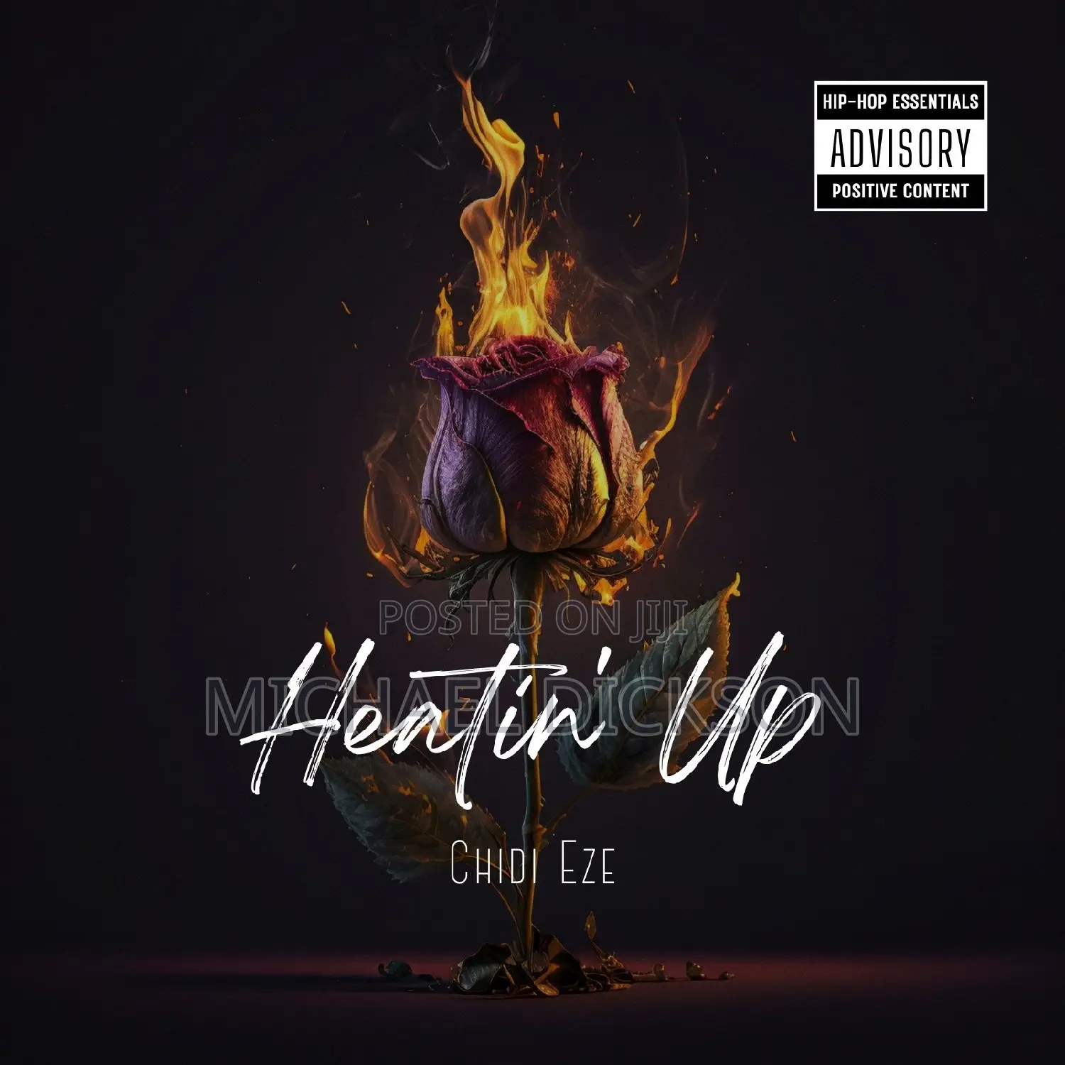 Cover Arts and Visualizers Designs