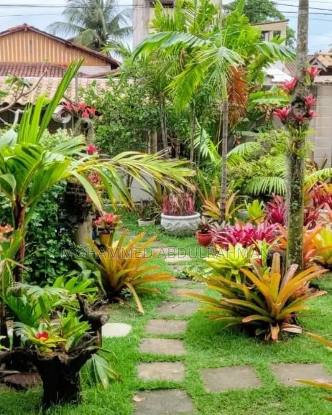 The Nations Best Gardeners