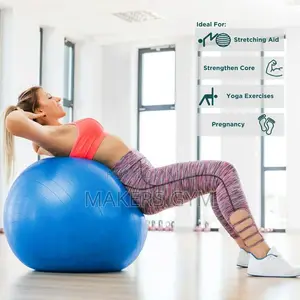 Exercise Gym Ball WITH PUMP (Anti-Burst)