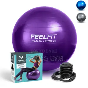 Gym Ball Swiss Pilates WITH Stability Pump Carry Bag 65cm