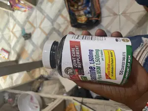 Glucosamine Plus MSM