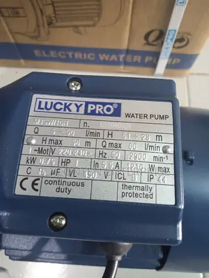 Lucky Pro 1.0hp Cast Complete Automatic Water Pump