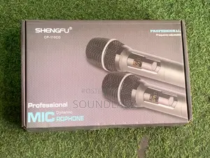Shengfu CP-110CD Dual Profesional Dynamic Wireles Microphone