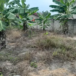 Plot for Sale at Essipon