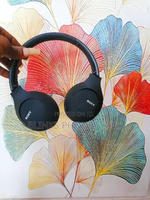 Sony Wireless 900