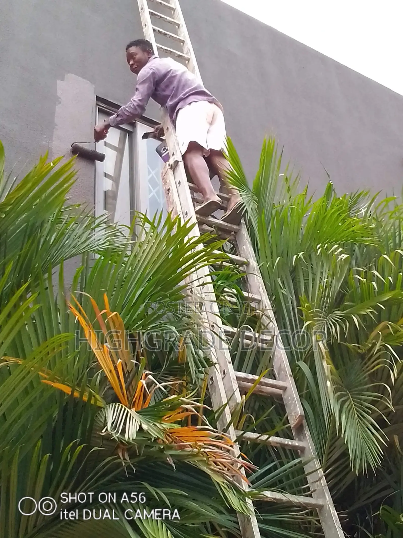 PAINTING AND GRAFFIATO WORK,Pop Ardrill,Painting Rénovations