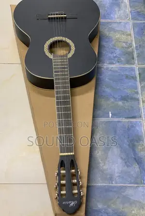 New Professional Acoustic Guitar