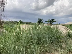 Two Plots for Sale at Trede Area.