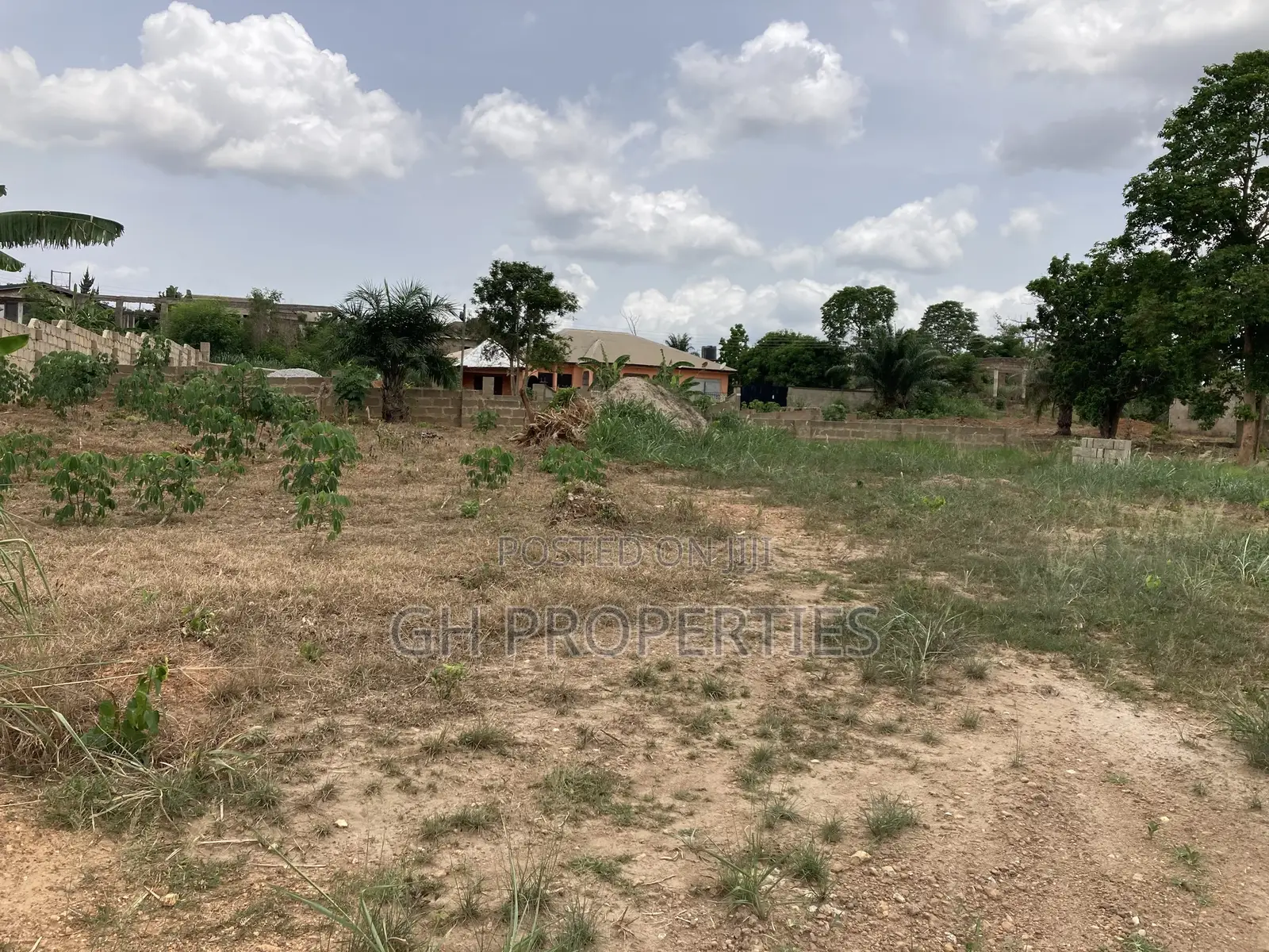 Two Plots for Sale at Trede Area.