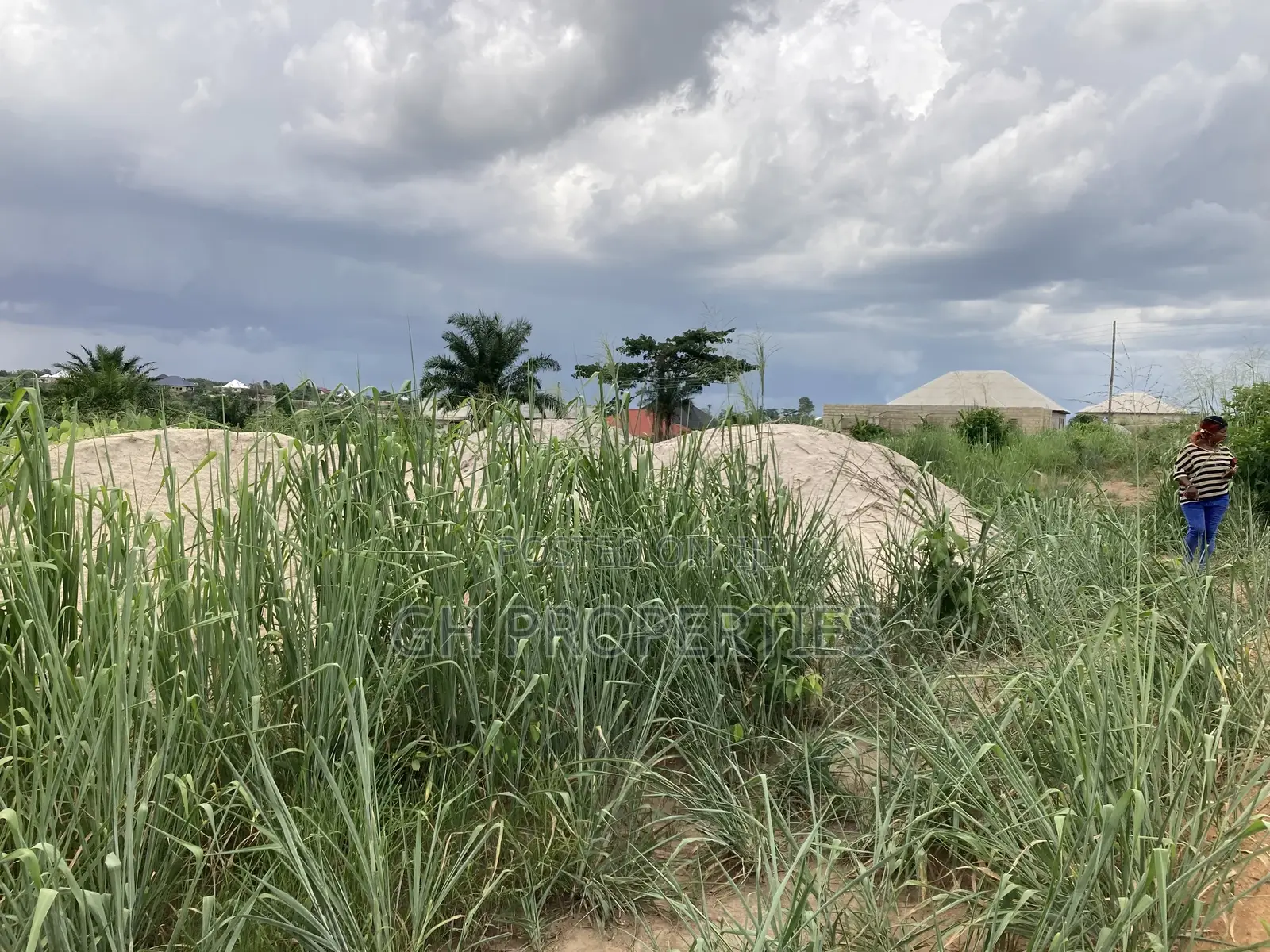 Two Plots for Sale at Trede Area.