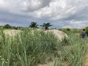 Two Plots for Sale at Trede Area.