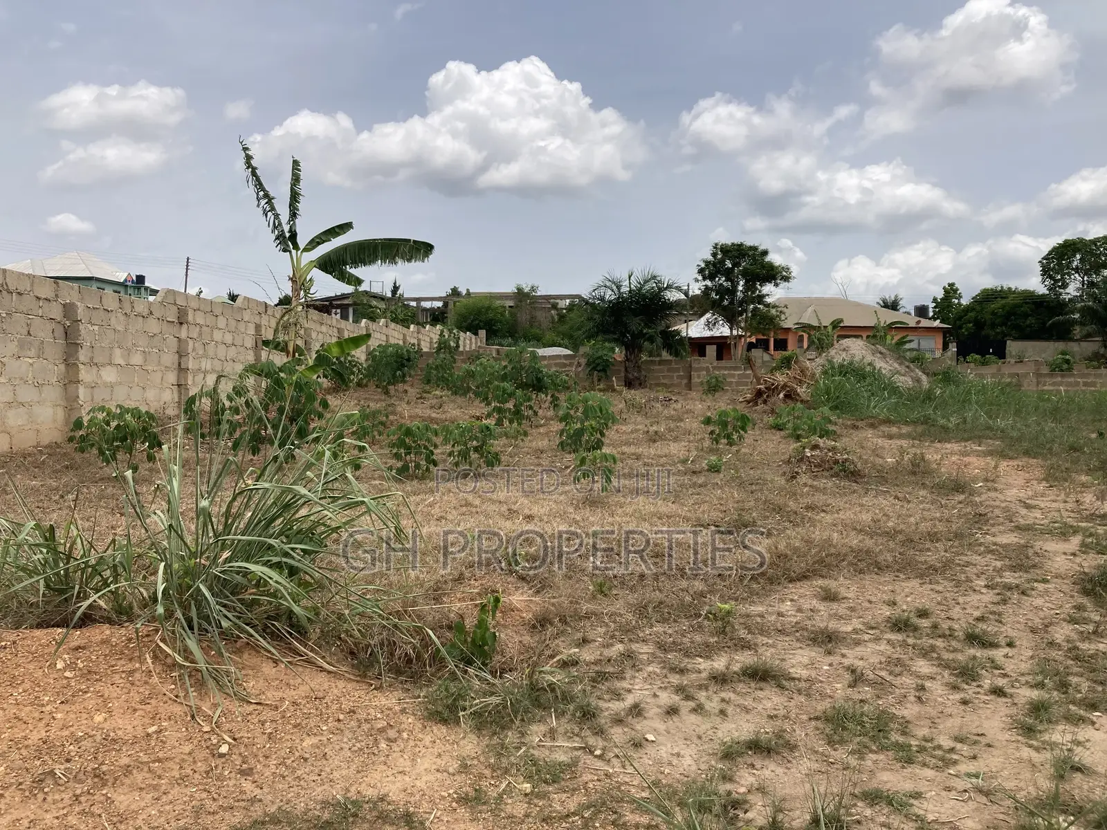 Two Plots for Sale at Trede Area.