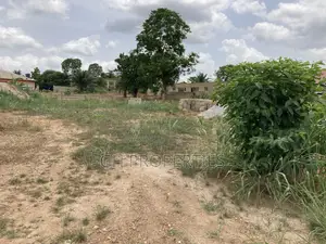 Two Plots for Sale at Trede Area.