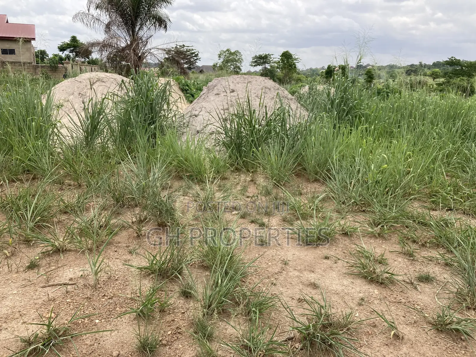 Two Plots for Sale at Trede Area.
